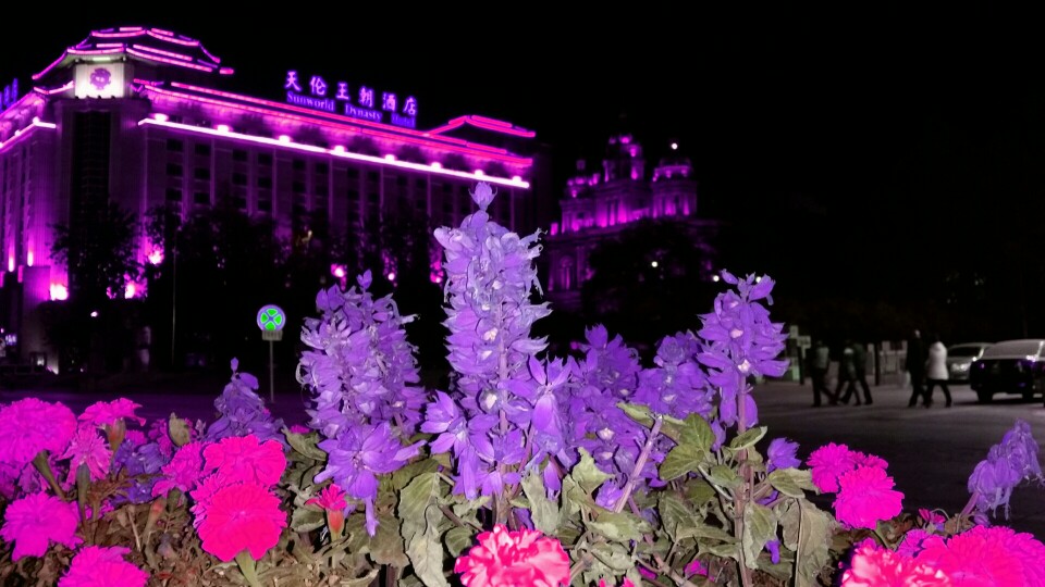 天倫王朝酒店合作依蘭職業(yè)裝